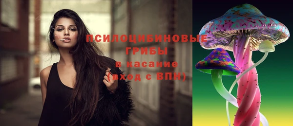 герыч Новозыбков