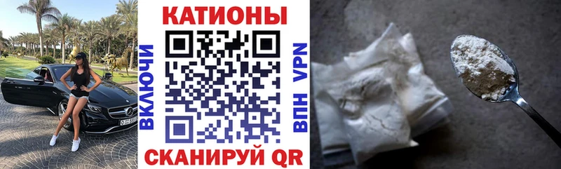 где найти Сочи МЯУ-МЯУ мяу мяу