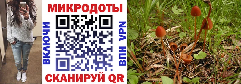 Галлюциногенные грибы MAGIC MUSHROOMS  Сочи 