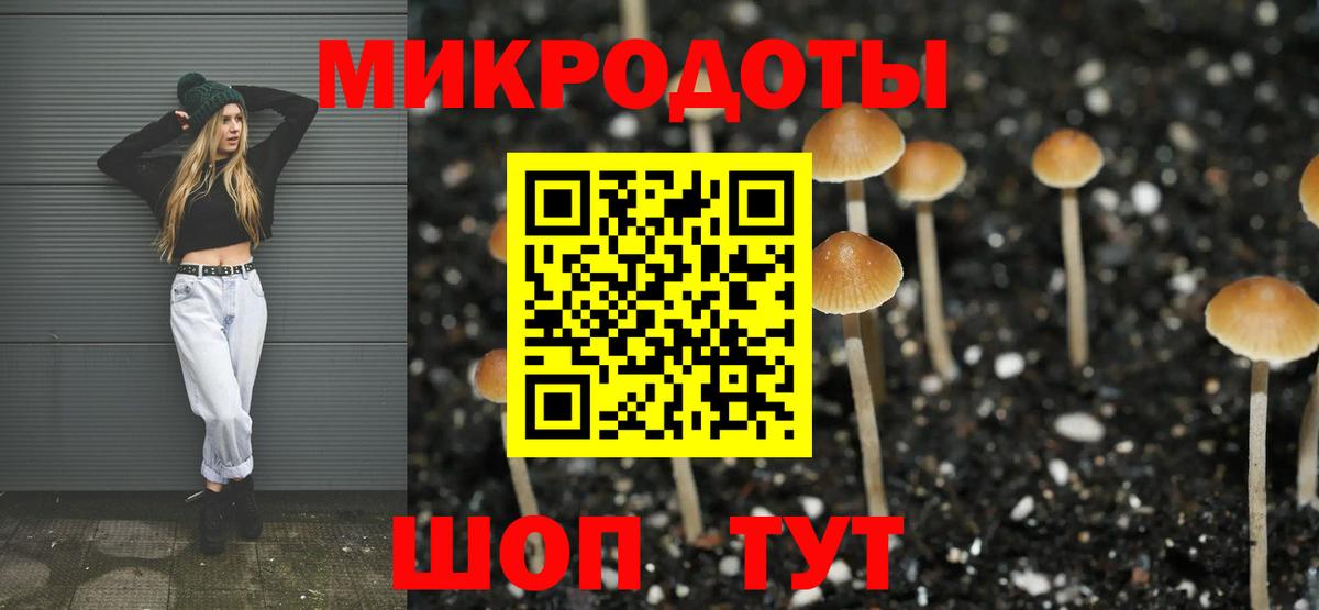 где купить   Вход с VPN  Сочи  Галлюциногенные грибы Psilocybe 